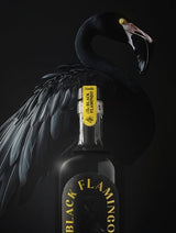 Rum infuso di vaniglia flamingo nero 25% 05L